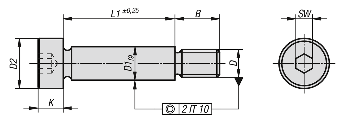 15x Schulter-Passschrauben 10x40 NEU NLM07534 M8 